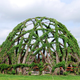 Image for article titled Behold These Incredible Works Of Architecture Made Out Of Living Trees